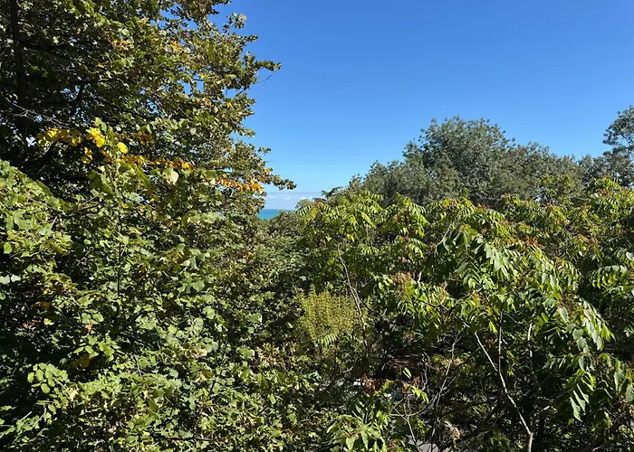 Lazur First Line Daire *