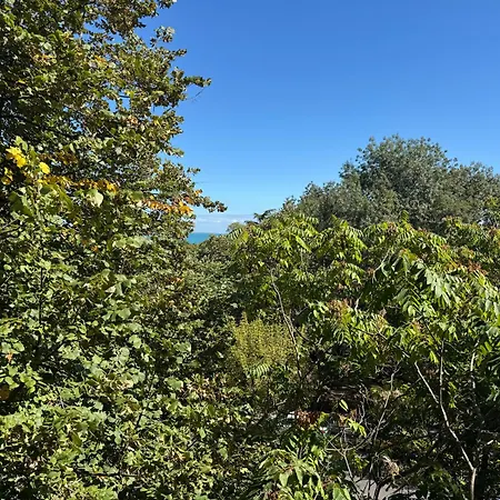 Lazur First Line Apartment *